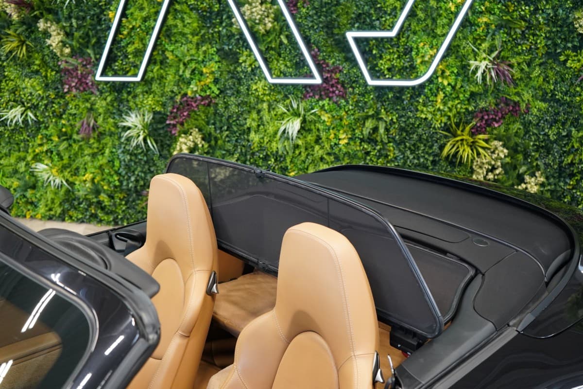 2009 Porsche 911 - 9