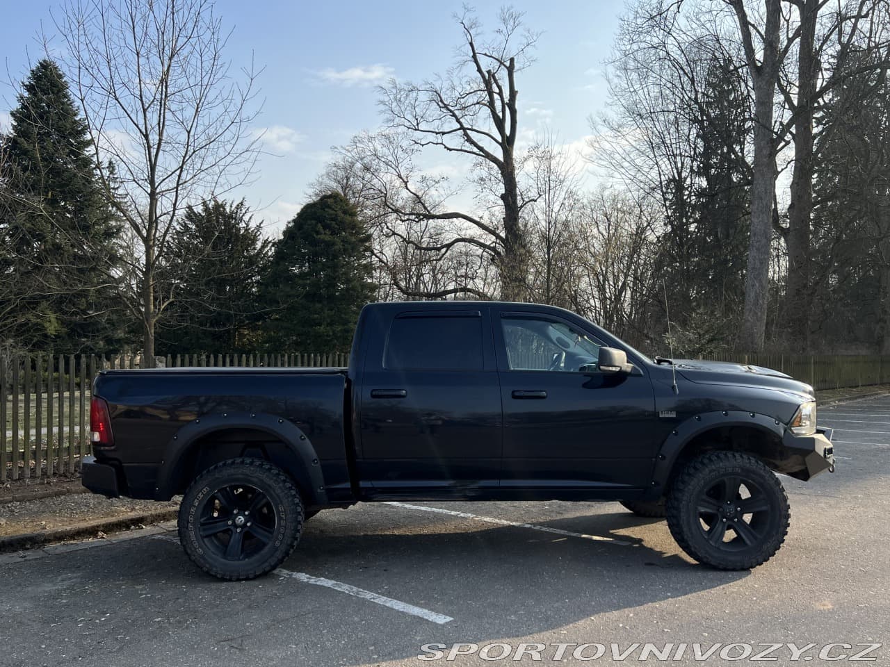 2014 Dodge Ostatní - 6