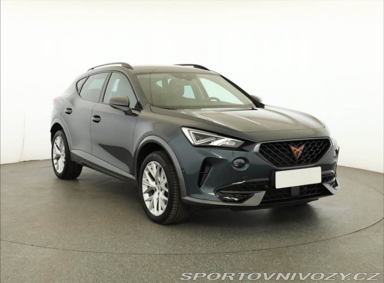 Cupra Formentor Formentor 2.0 TSI 4Drive