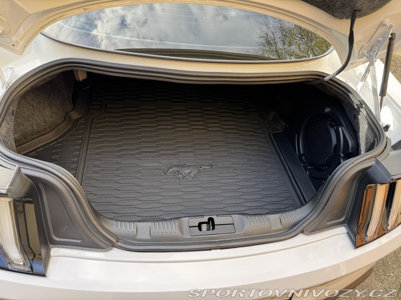 2018 Ford Mustang - 16