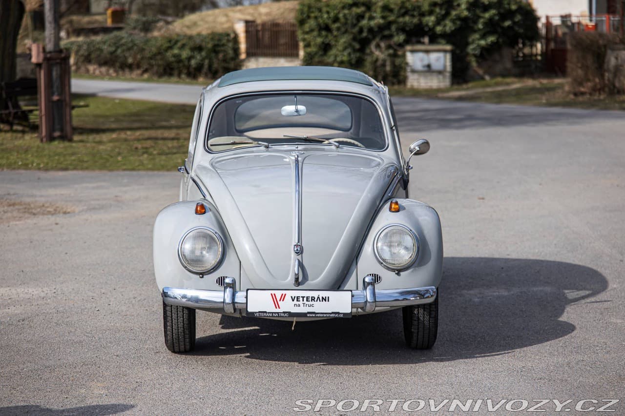 1960 Volkswagen Beetle - 2