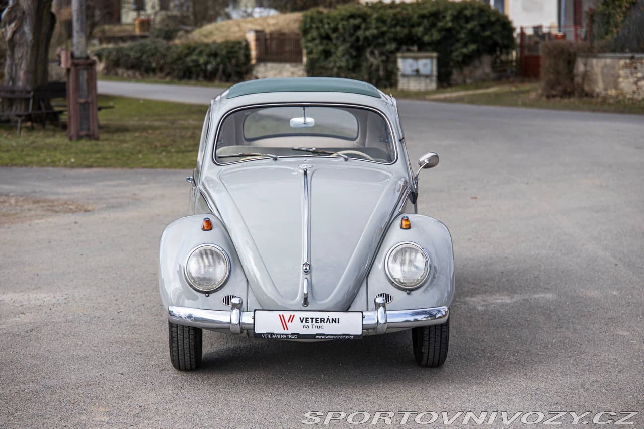 1960 Volkswagen Beetle - 8