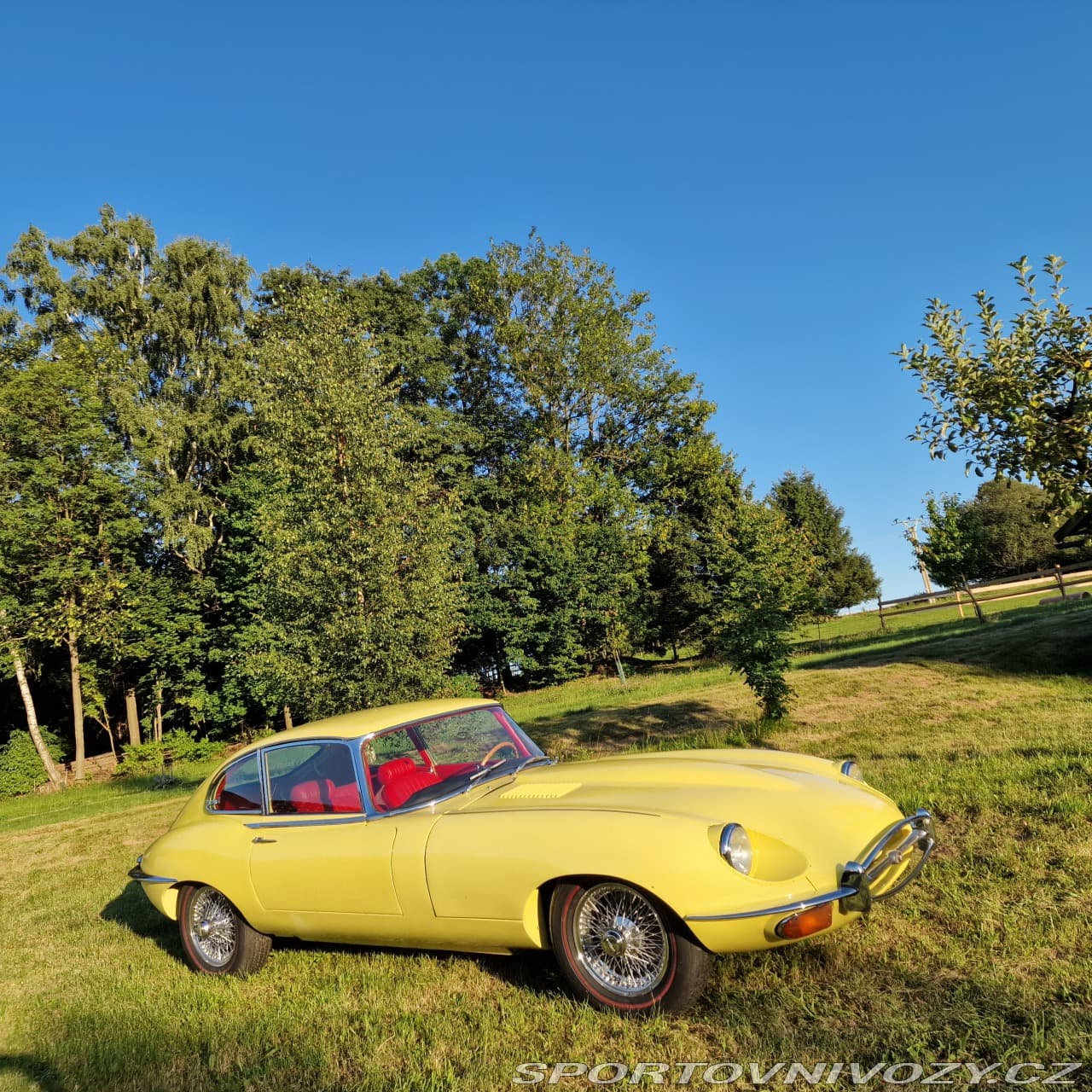 1968 Jaguar E-Type - 15