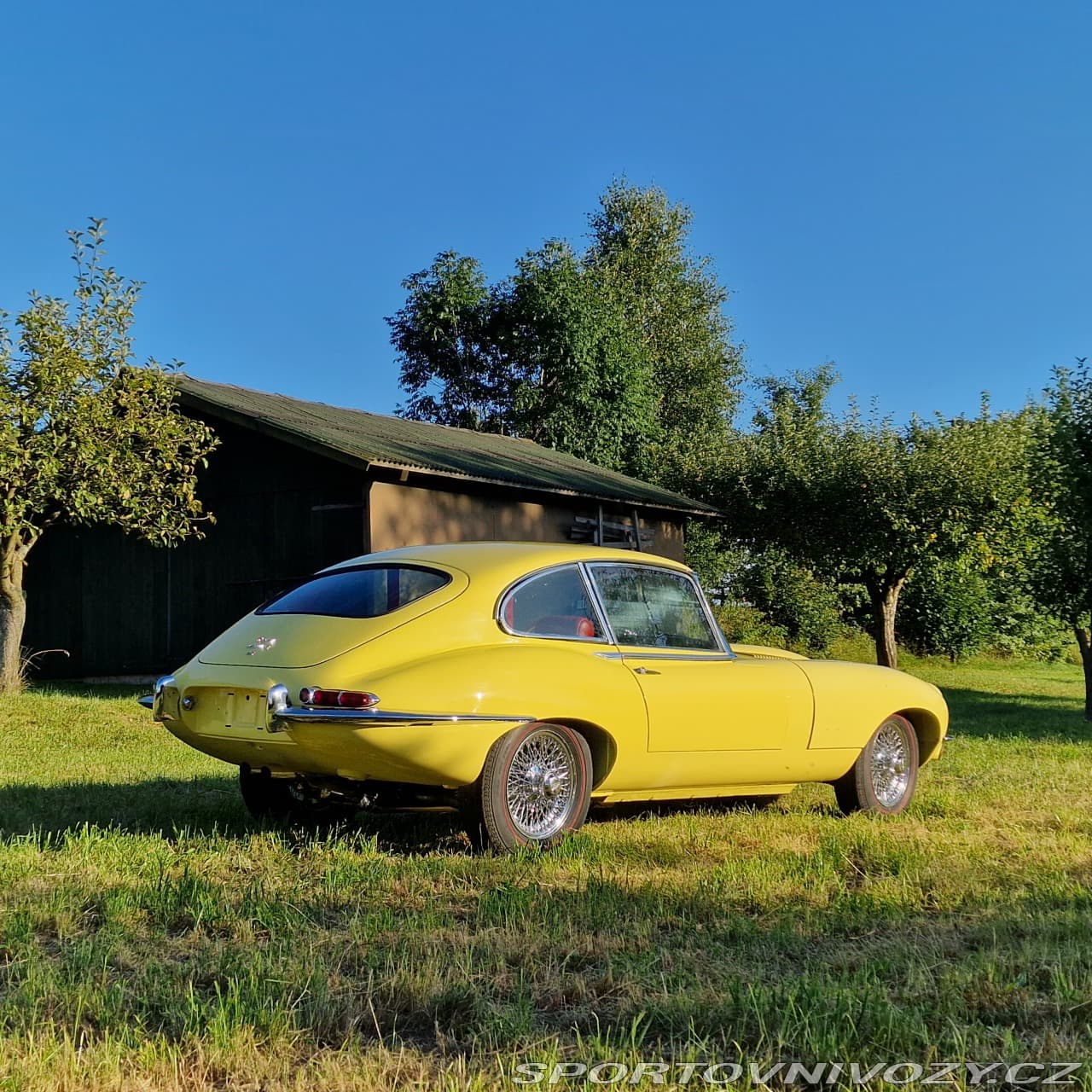 1968 Jaguar E-Type - 2