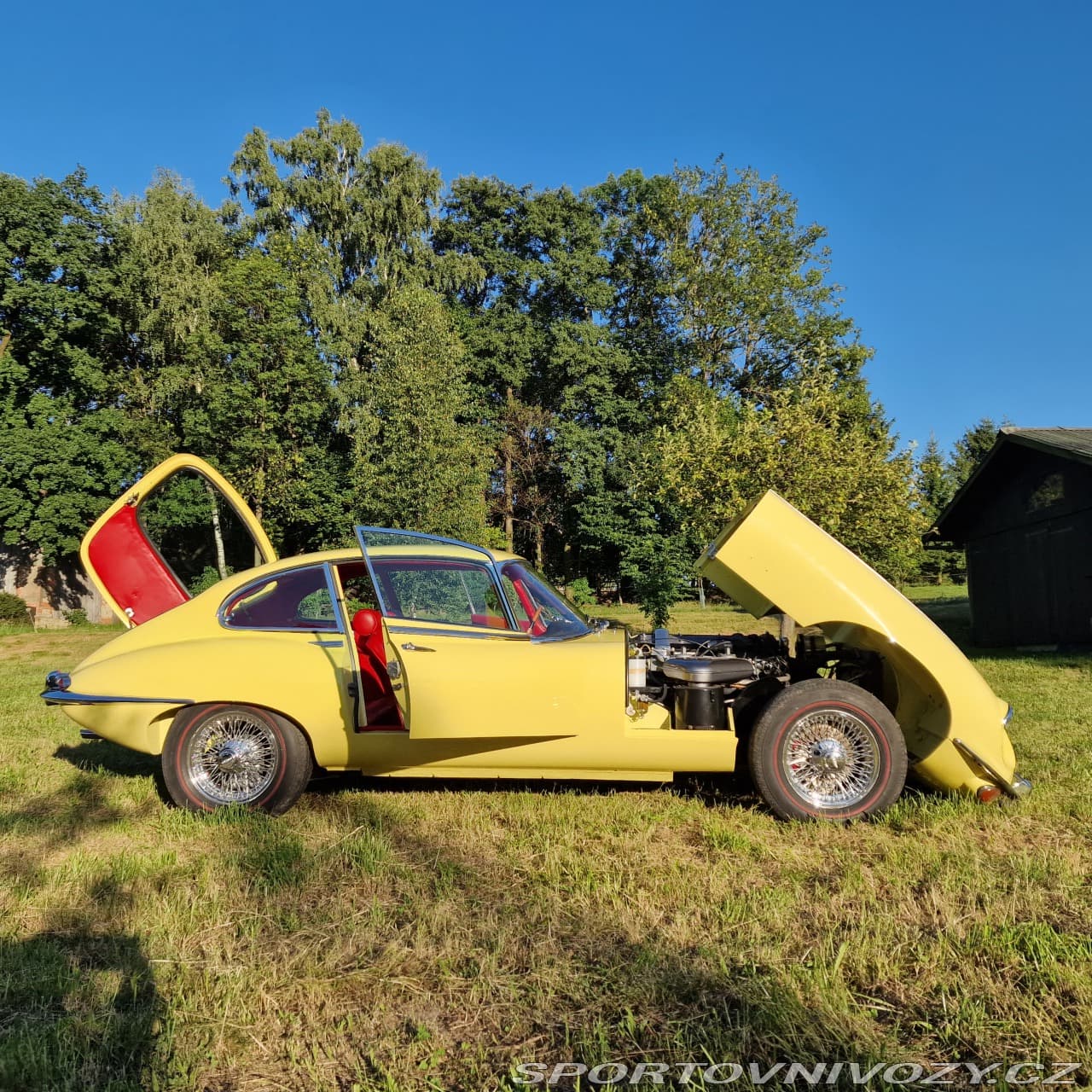 1968 Jaguar E-Type - 4
