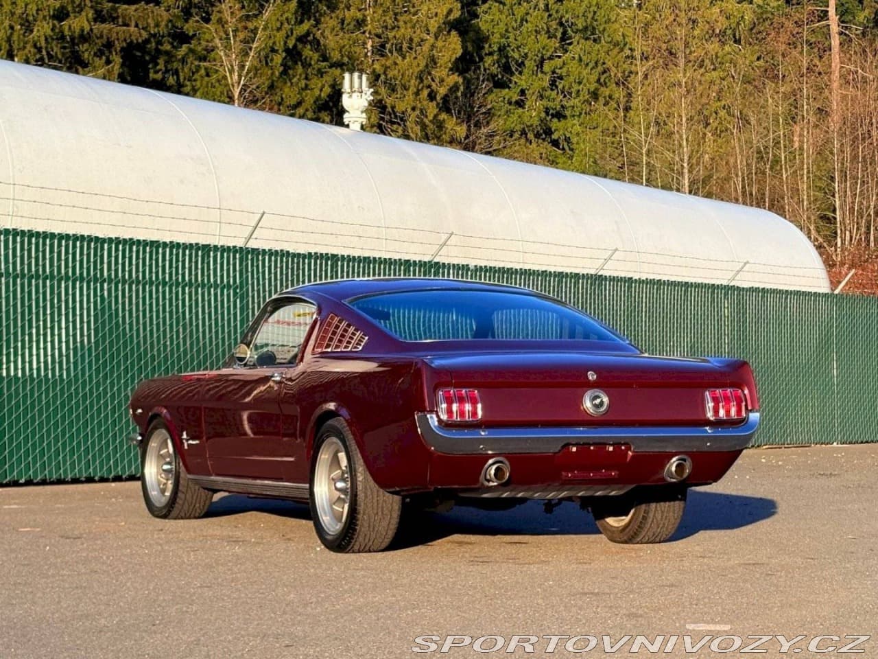 1965 Ford Mustang - 3