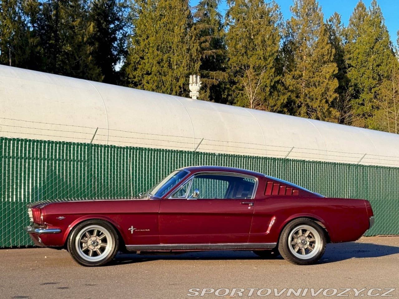 1965 Ford Mustang - 4