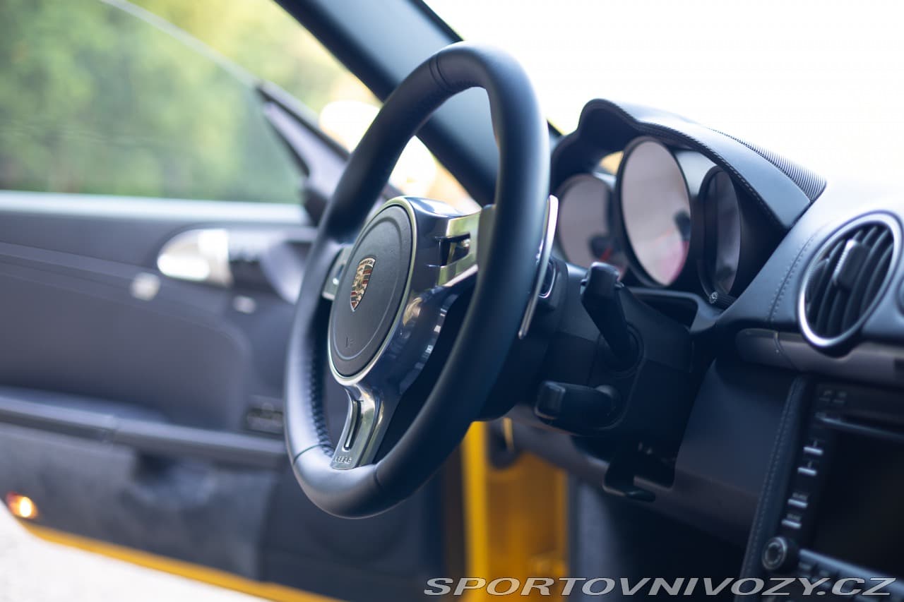 2009 Porsche Cayman - 15