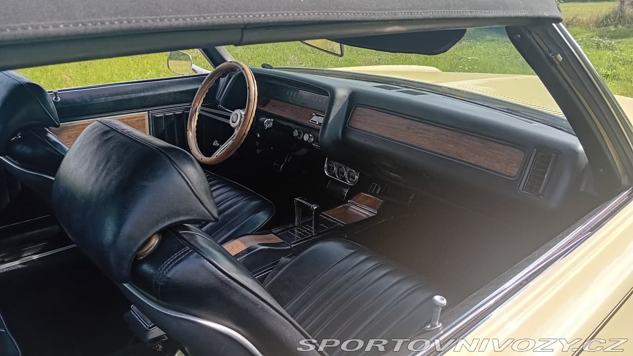 1969 Pontiac Ostatní - 13