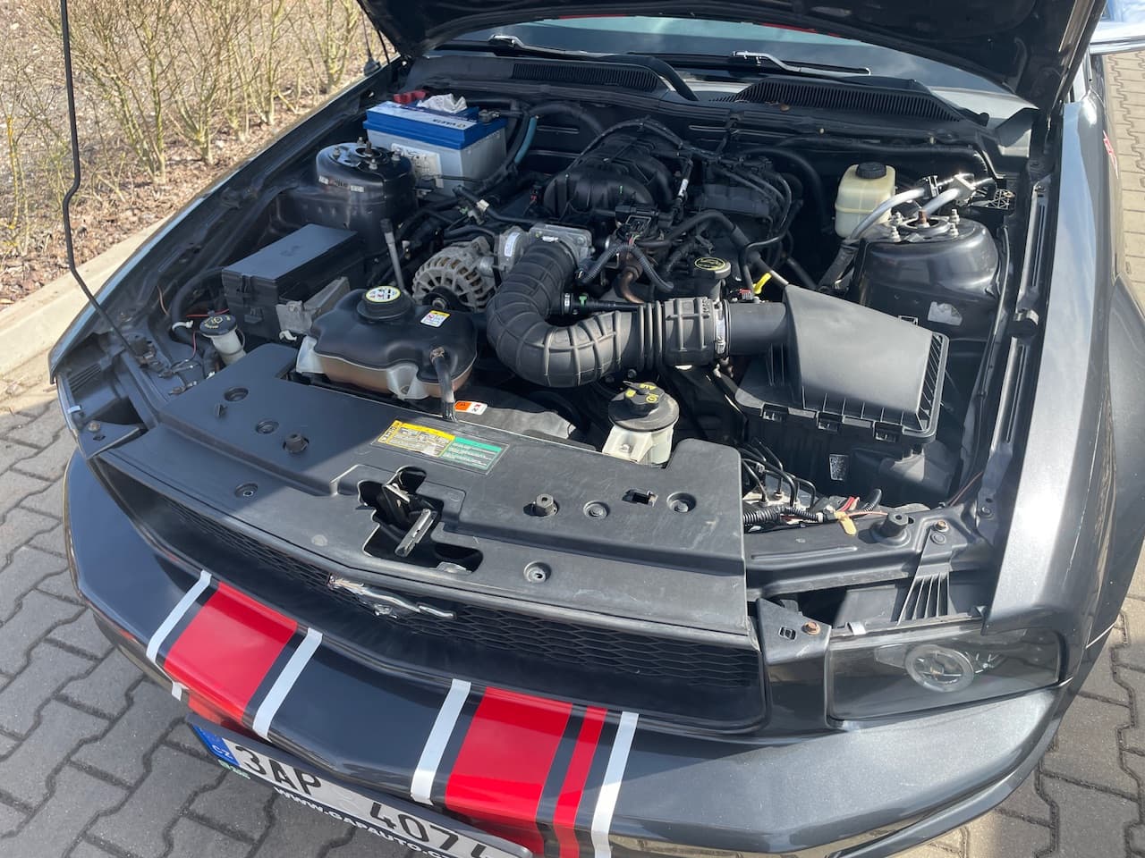 2007 Ford MUSTANG - 12