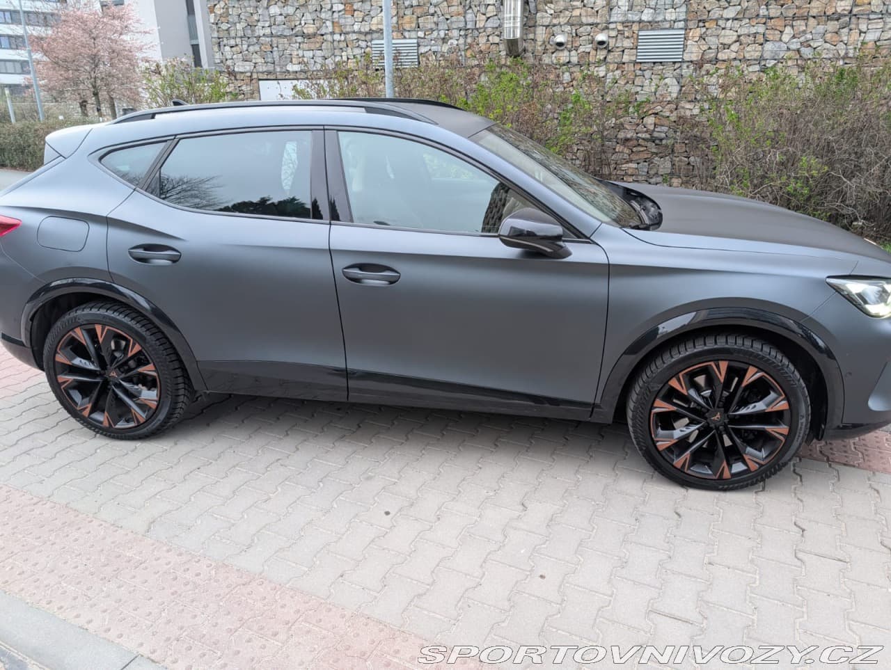 2015 Cupra FORMENTOR - 6