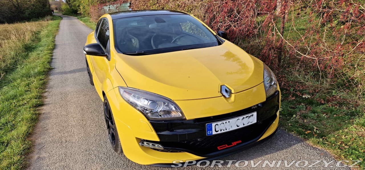 2011 Renault MEGANE - 10