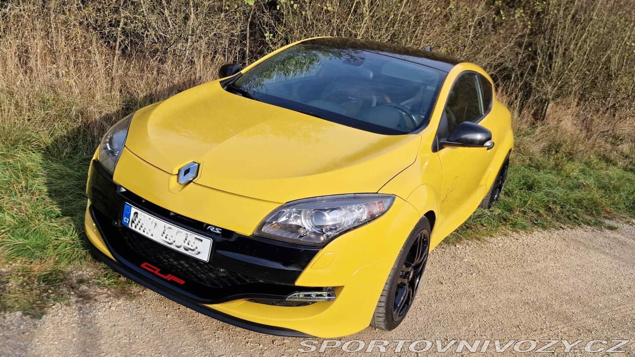 2011 Renault MEGANE - 3