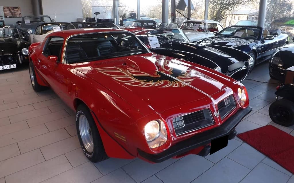 1975 Pontiac OSTATNÍ