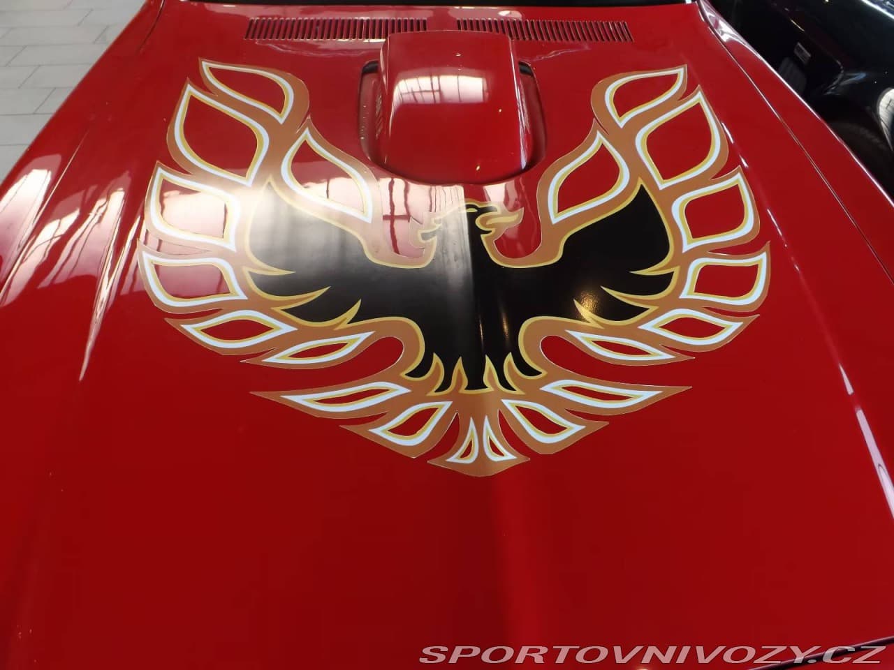 1975 Pontiac OSTATNÍ - 2