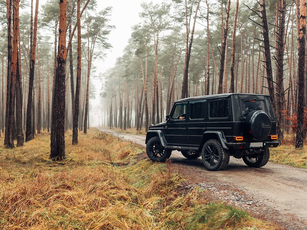 2001 Mercedes-Benz OSTATNÍ - 4