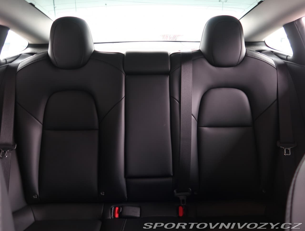 2020 Tesla MODEL 3 - 10