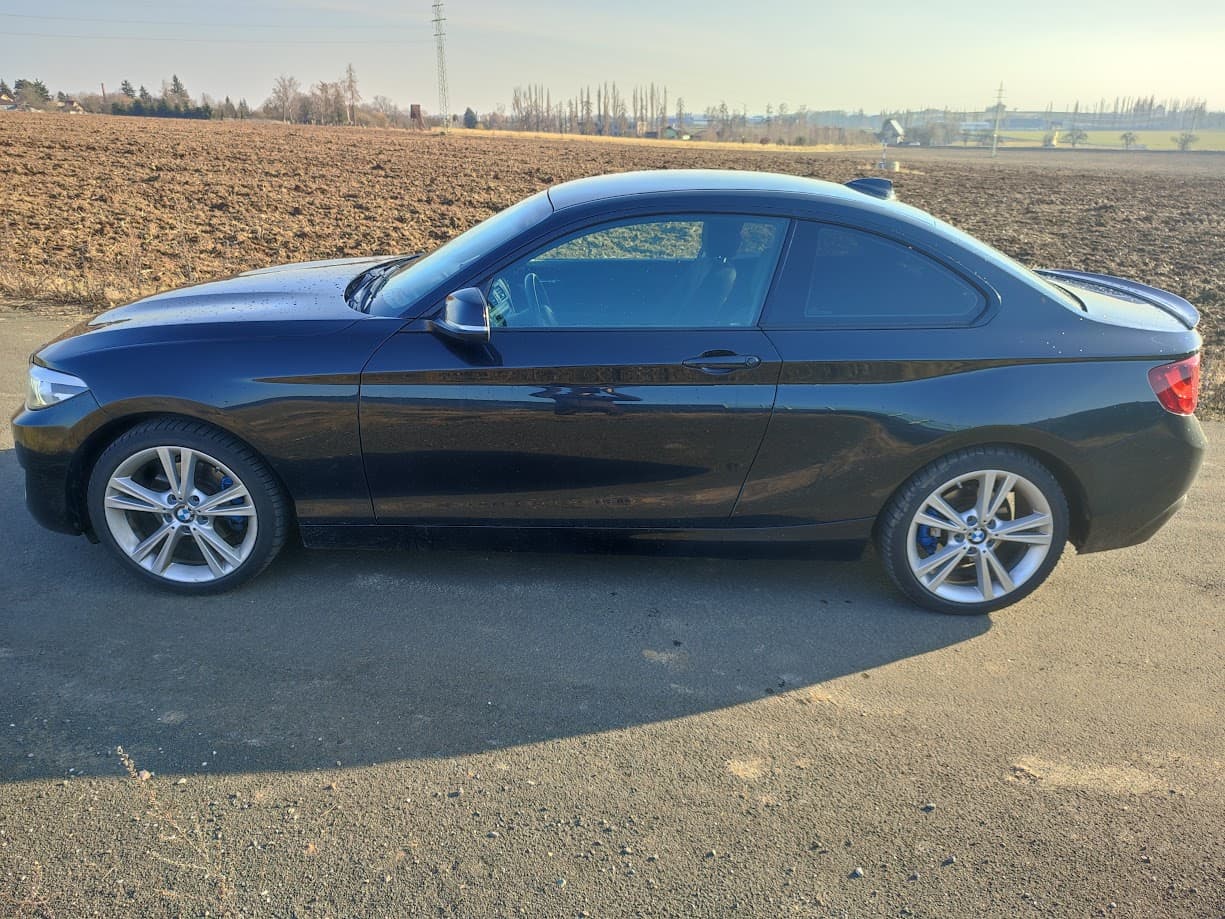 2014 BMW 2-SERIES
