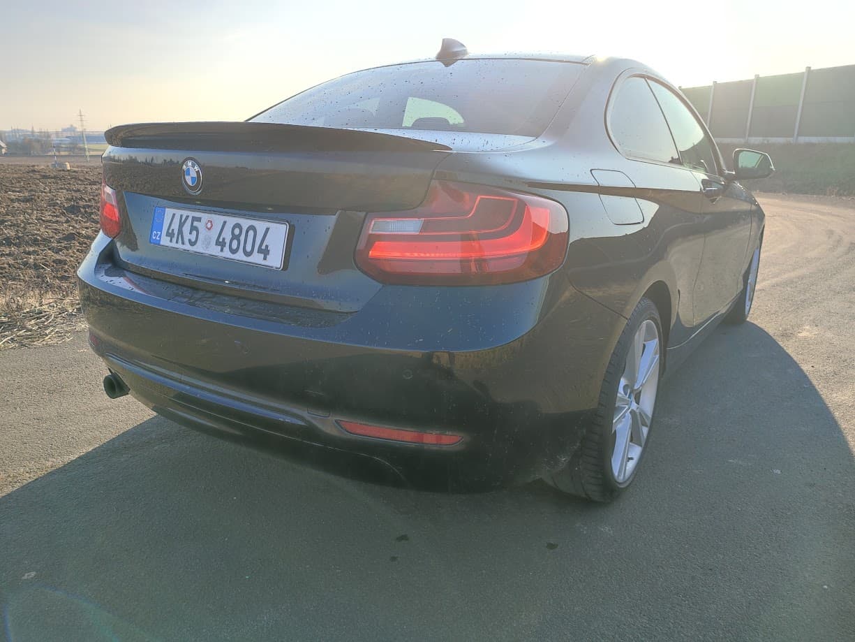 2014 BMW 2-SERIES - 5