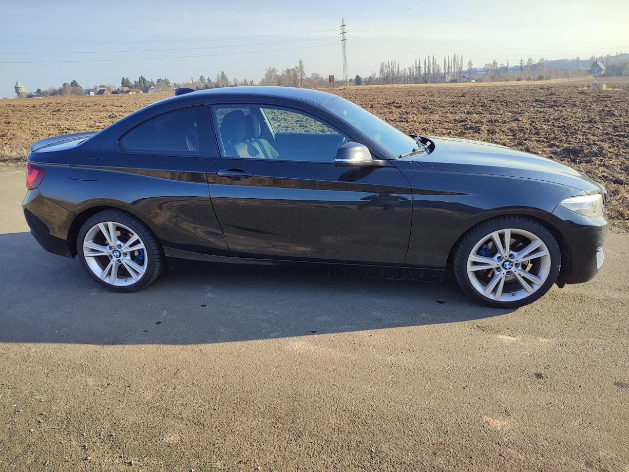 2014 BMW 2-SERIES - 6