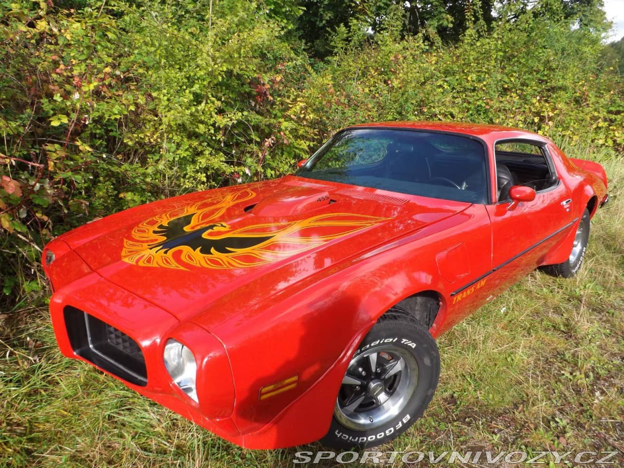 1973 Pontiac OSTATNÍ