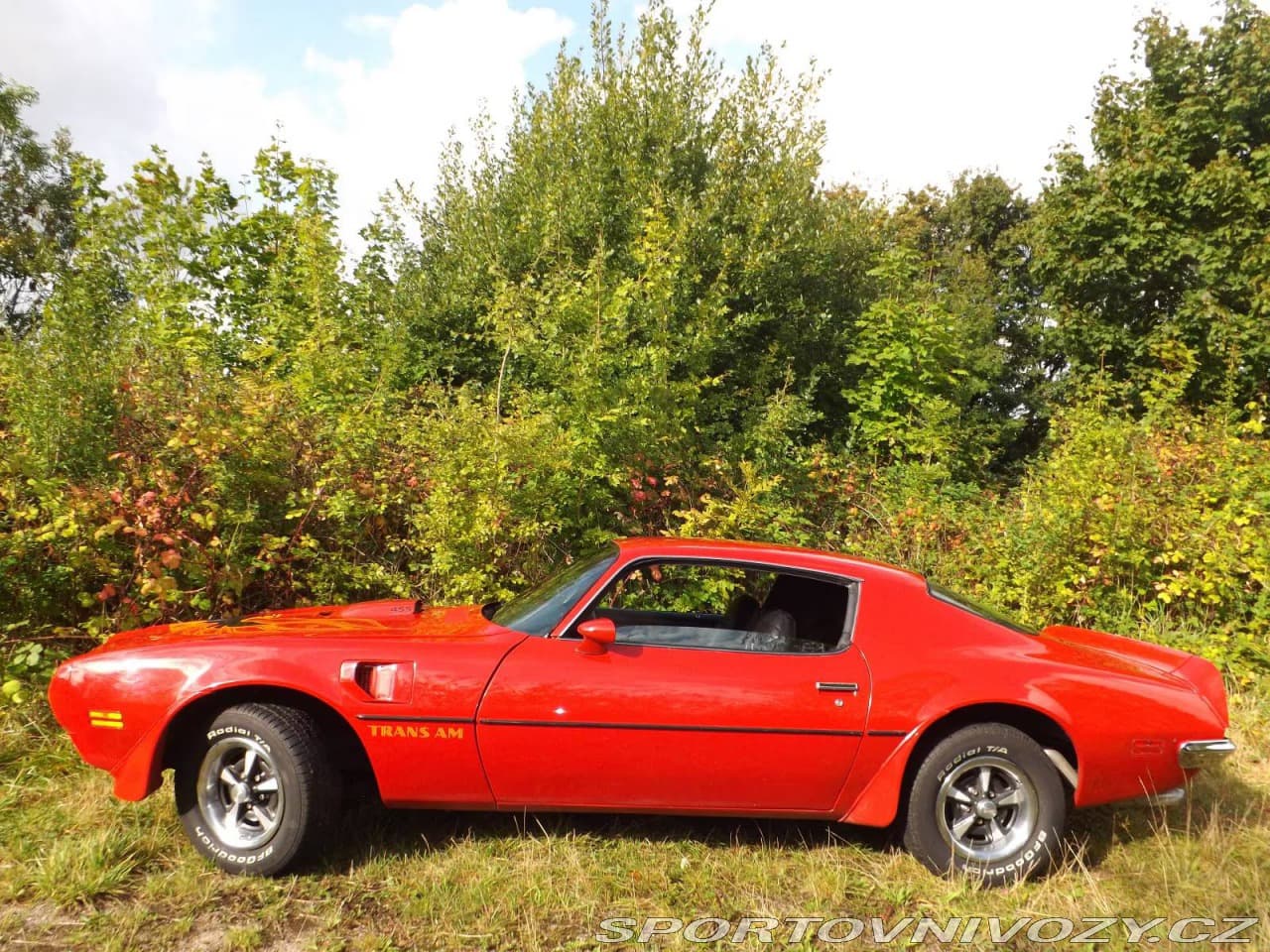 1973 Pontiac OSTATNÍ - 8