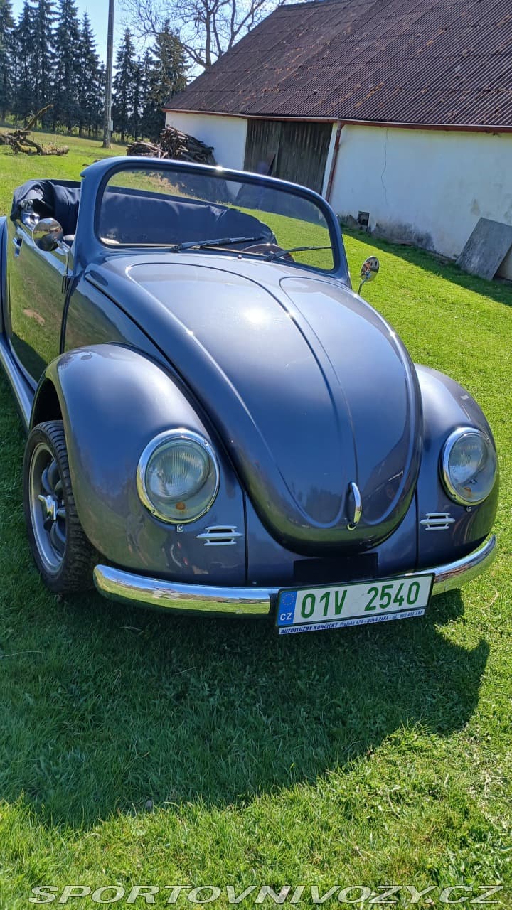 1973 Volkswagen BEETLE