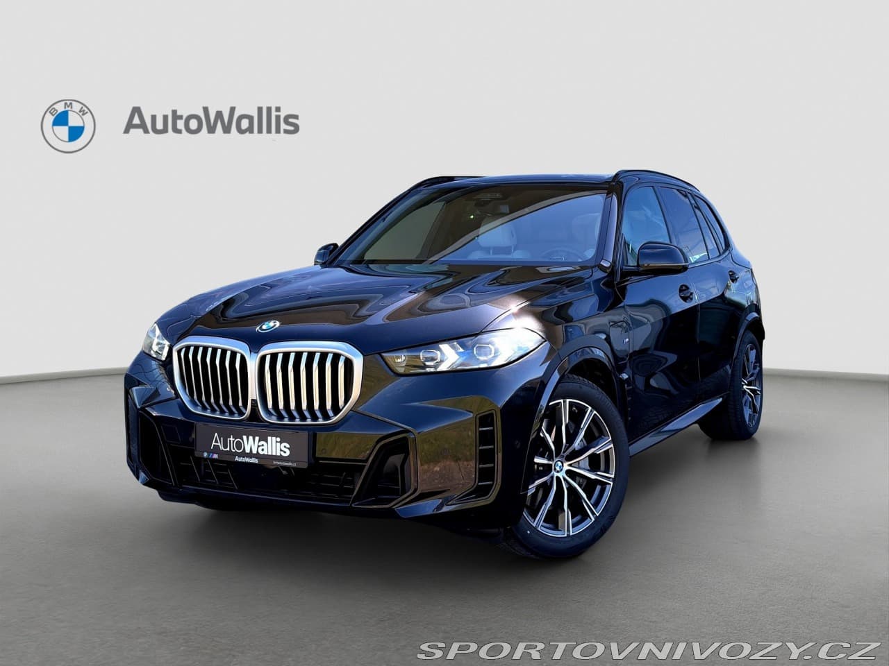 2025 BMW X5