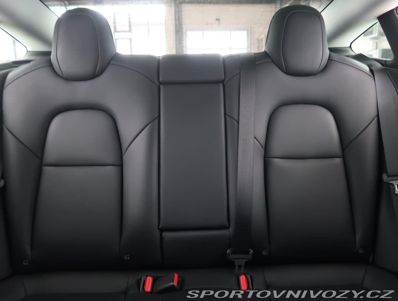 2019 Tesla MODEL 3 - 10