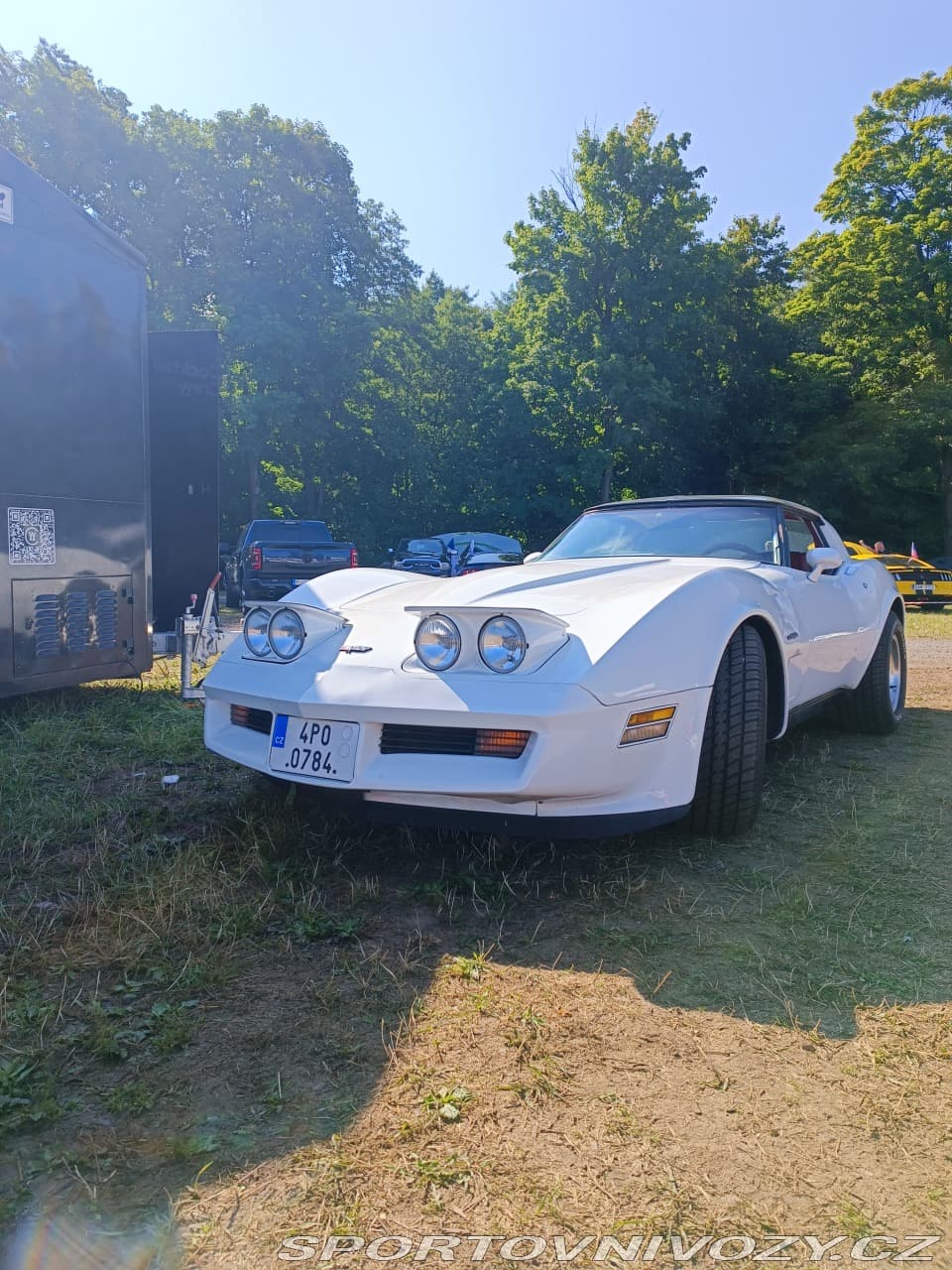 1982 Chevrolet CORVETTE - 11