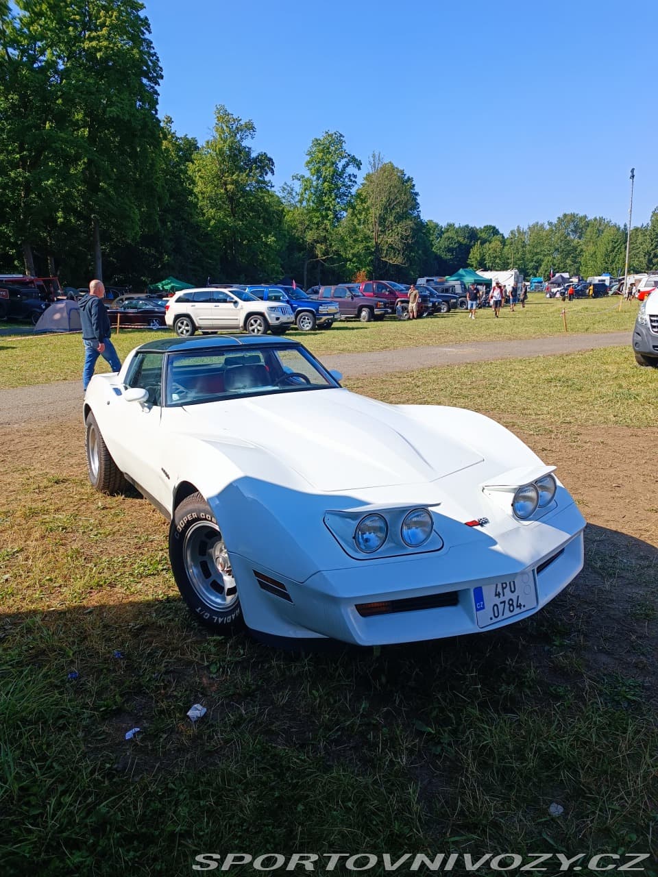 1982 Chevrolet CORVETTE - 12