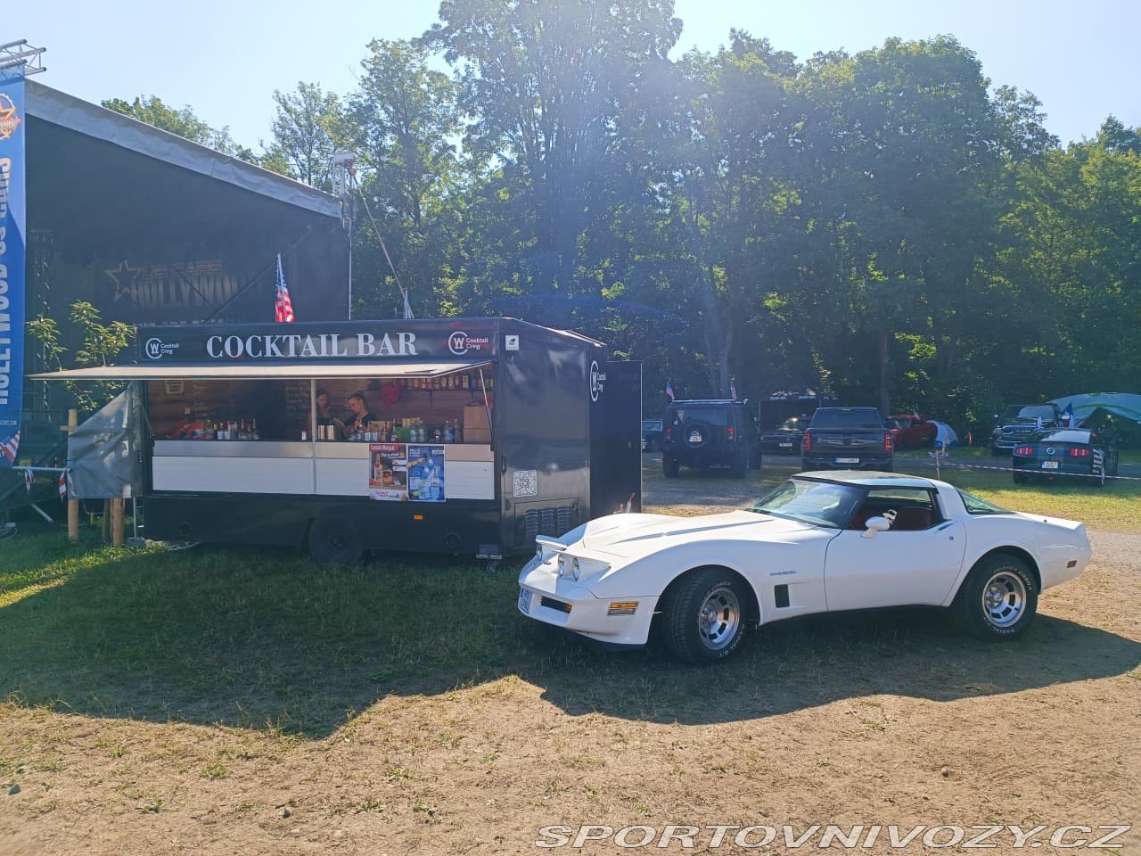 1982 Chevrolet CORVETTE - 13