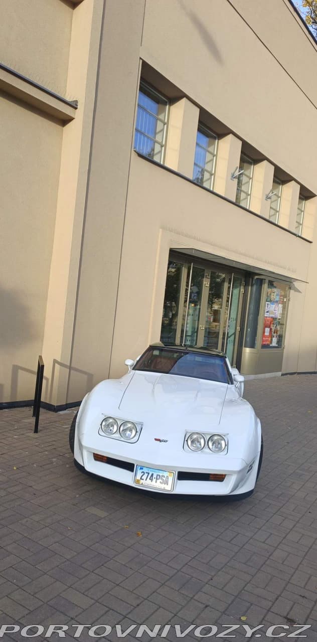 1982 Chevrolet CORVETTE - 8