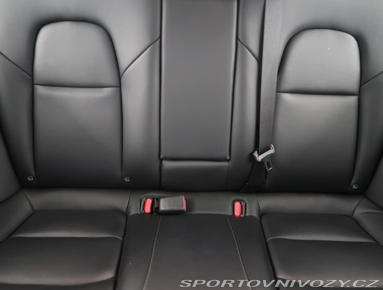2021 Tesla MODEL 3 - 10