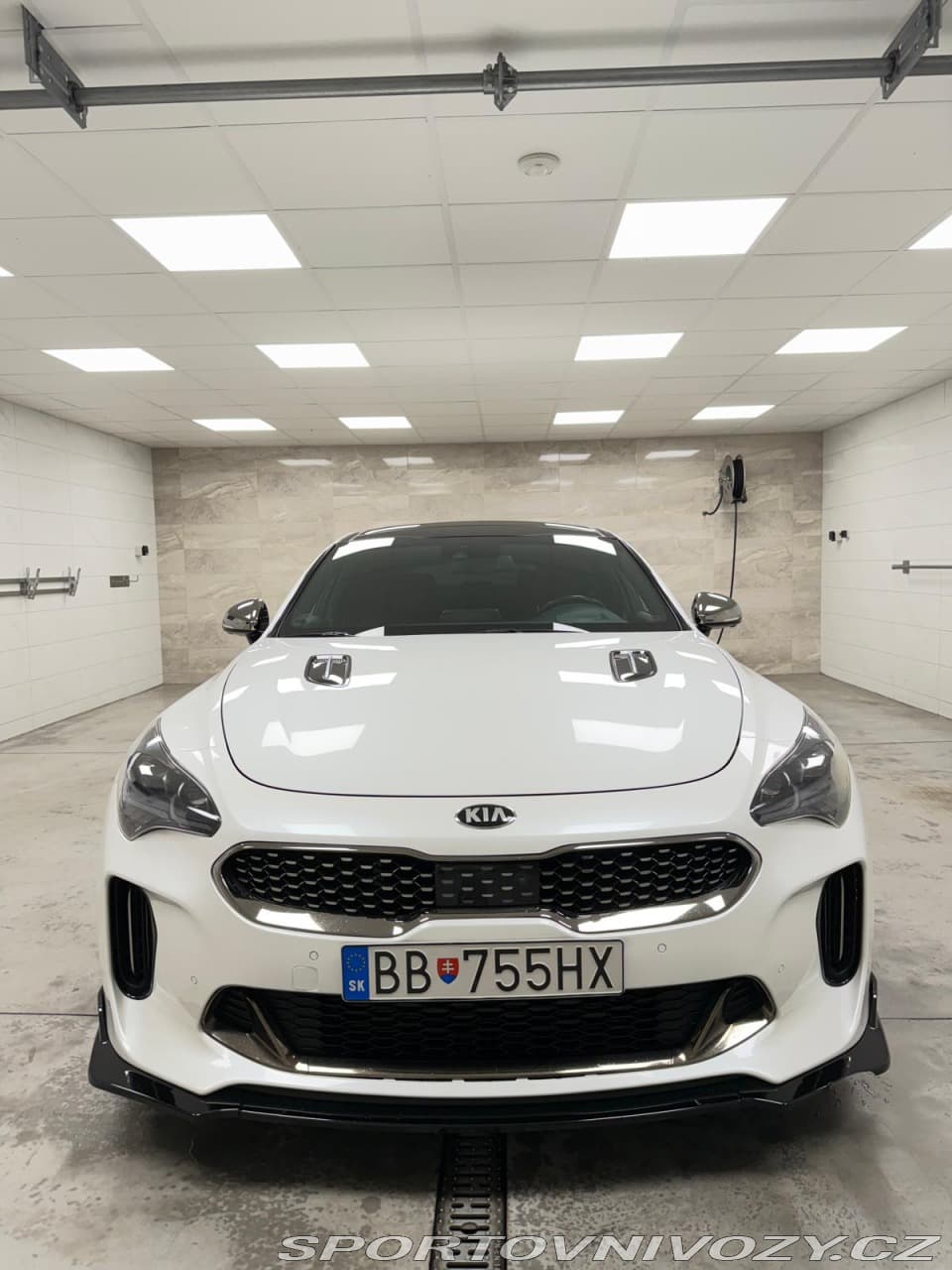2019 Kia STINGER - 3
