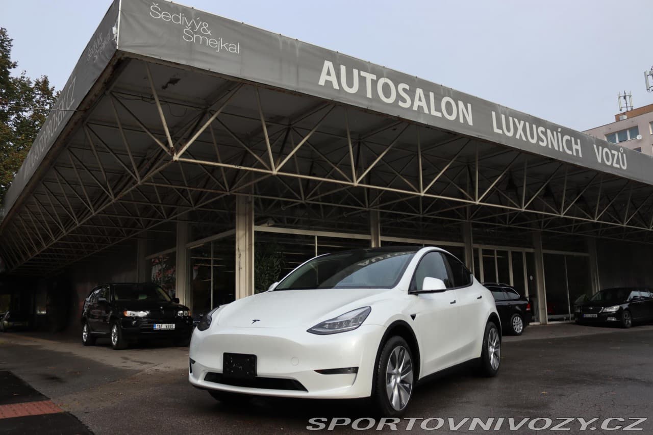 2020 Tesla MODEL Y
