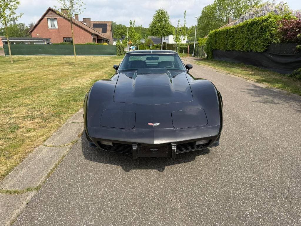 1978 Chevrolet CORVETTE - 3