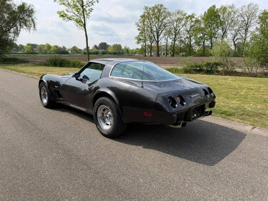 1978 Chevrolet CORVETTE - 13