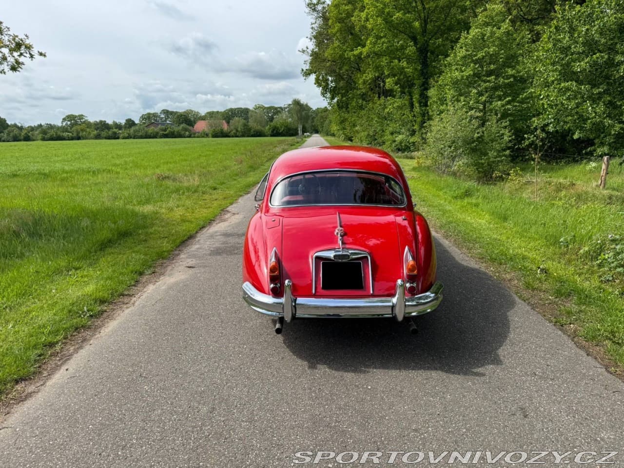 1960 Jaguar XK - 5