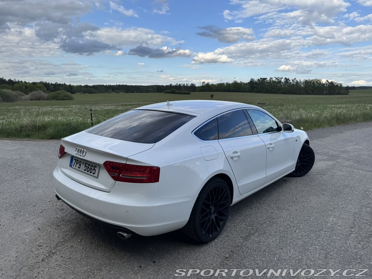 2010 Audi A5 - 3