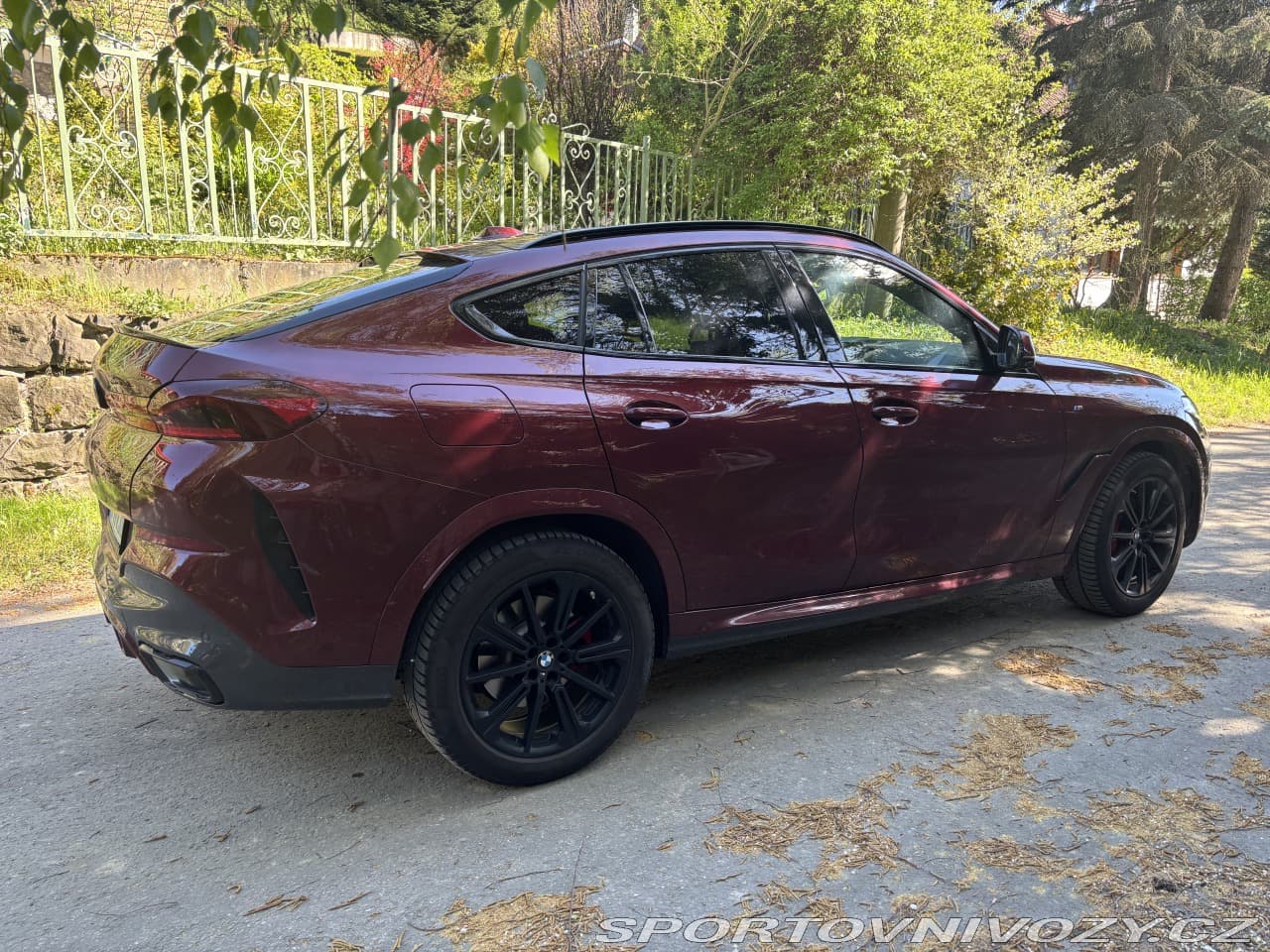 2023 BMW X6