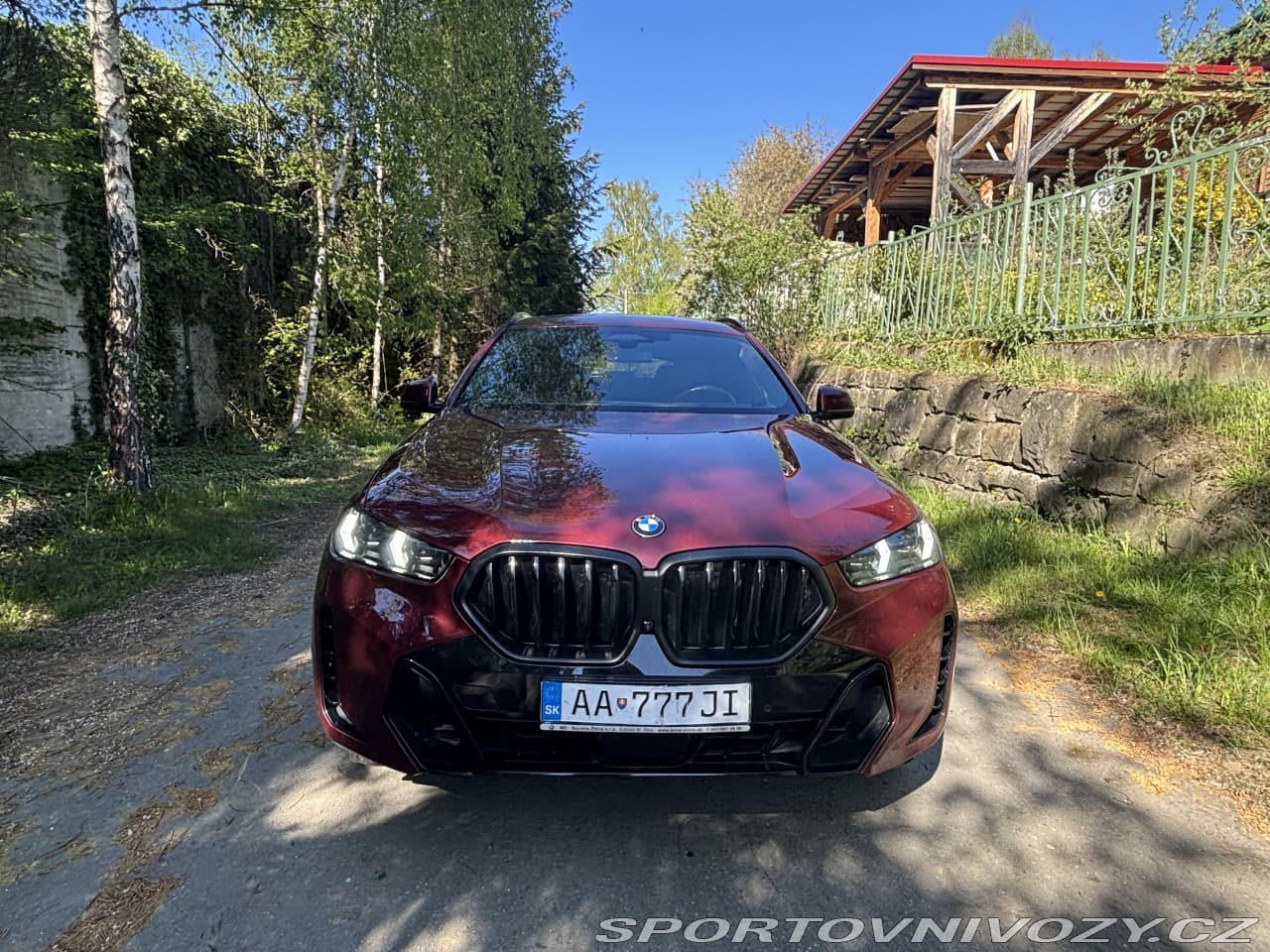 2023 BMW X6 - 49