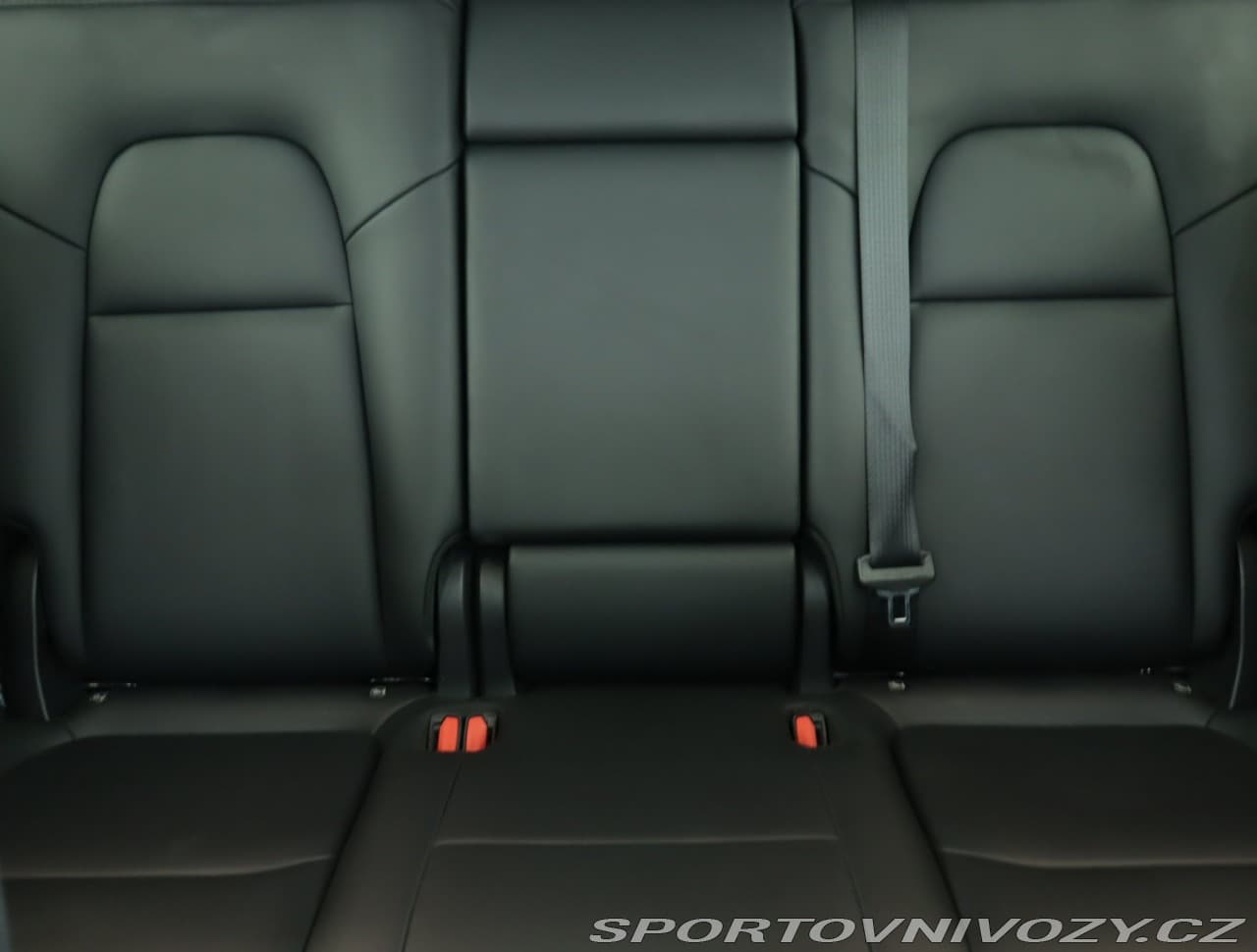 2023 Tesla MODEL Y - 19