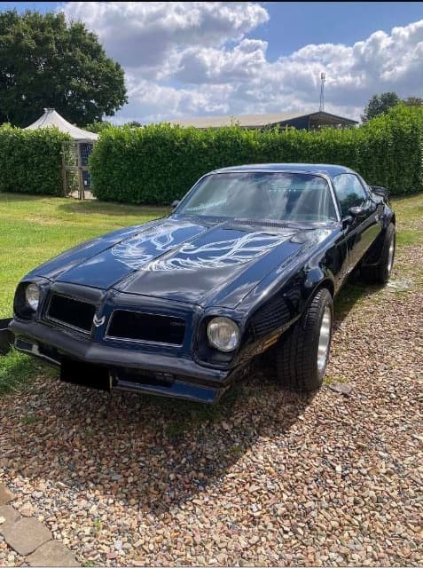 1976 Pontiac FIREBIRD - 3