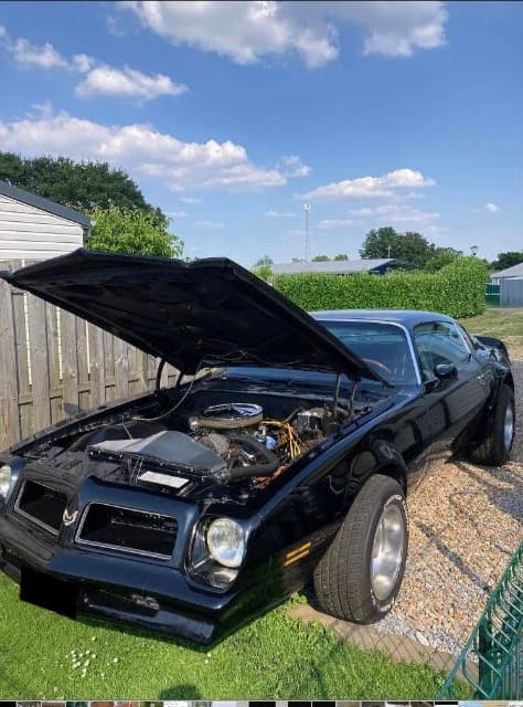 1976 Pontiac FIREBIRD - 5