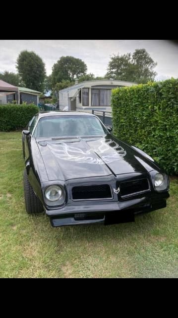 1976 Pontiac FIREBIRD - 7