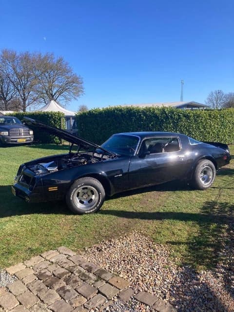 1976 Pontiac FIREBIRD - 9