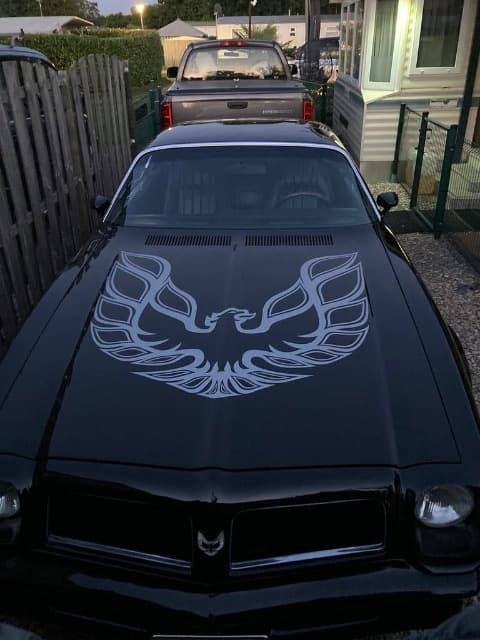 1976 Pontiac FIREBIRD - 13