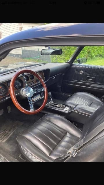 1976 Pontiac FIREBIRD - 15