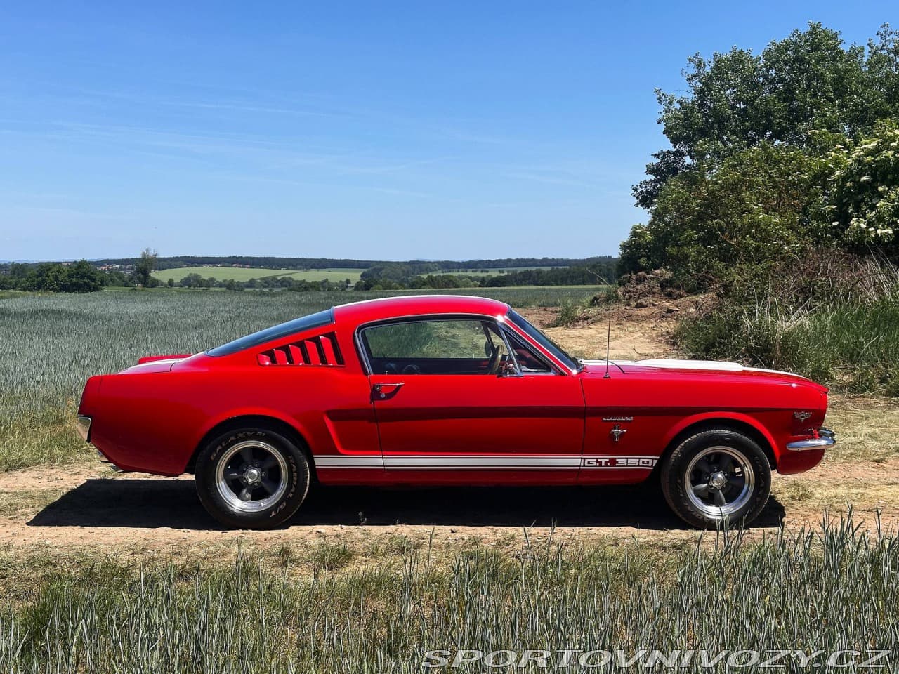 1965 Ford MUSTANG - 5
